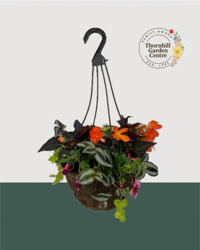 12" Premium Fibre Shade Hanging Basket – Autumn Ember