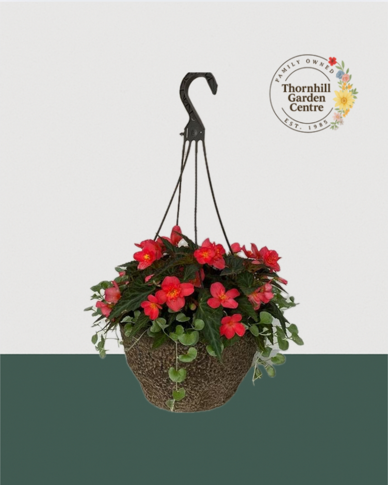 12" Fibre Premium Shade Hanging Basket - Crimson Pop