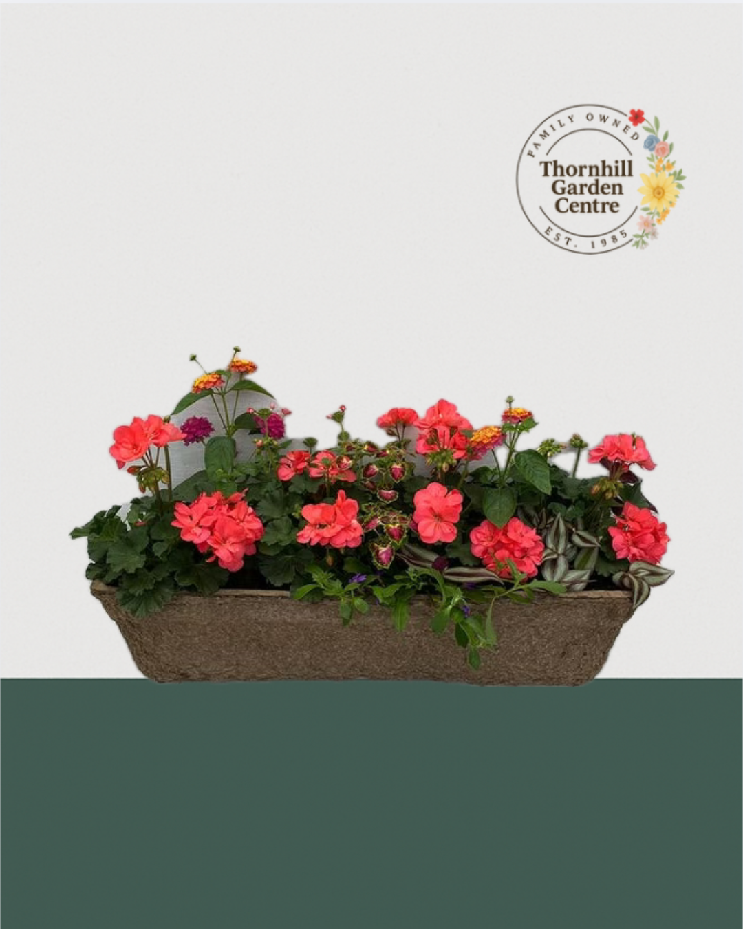 24" Premium Fibre Sun Window Box – Coral Cascade