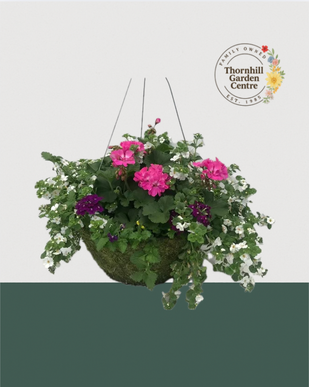 16" Moss Premium Mixed Sun Hanging Basket - Pink Pink Breeze