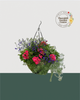 16" Moss Premium Mixed Sun Hanging Basket - Coral Sky