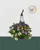 12" Fibre Premium Mixed Sun Hanging Basket - Morning Meadow