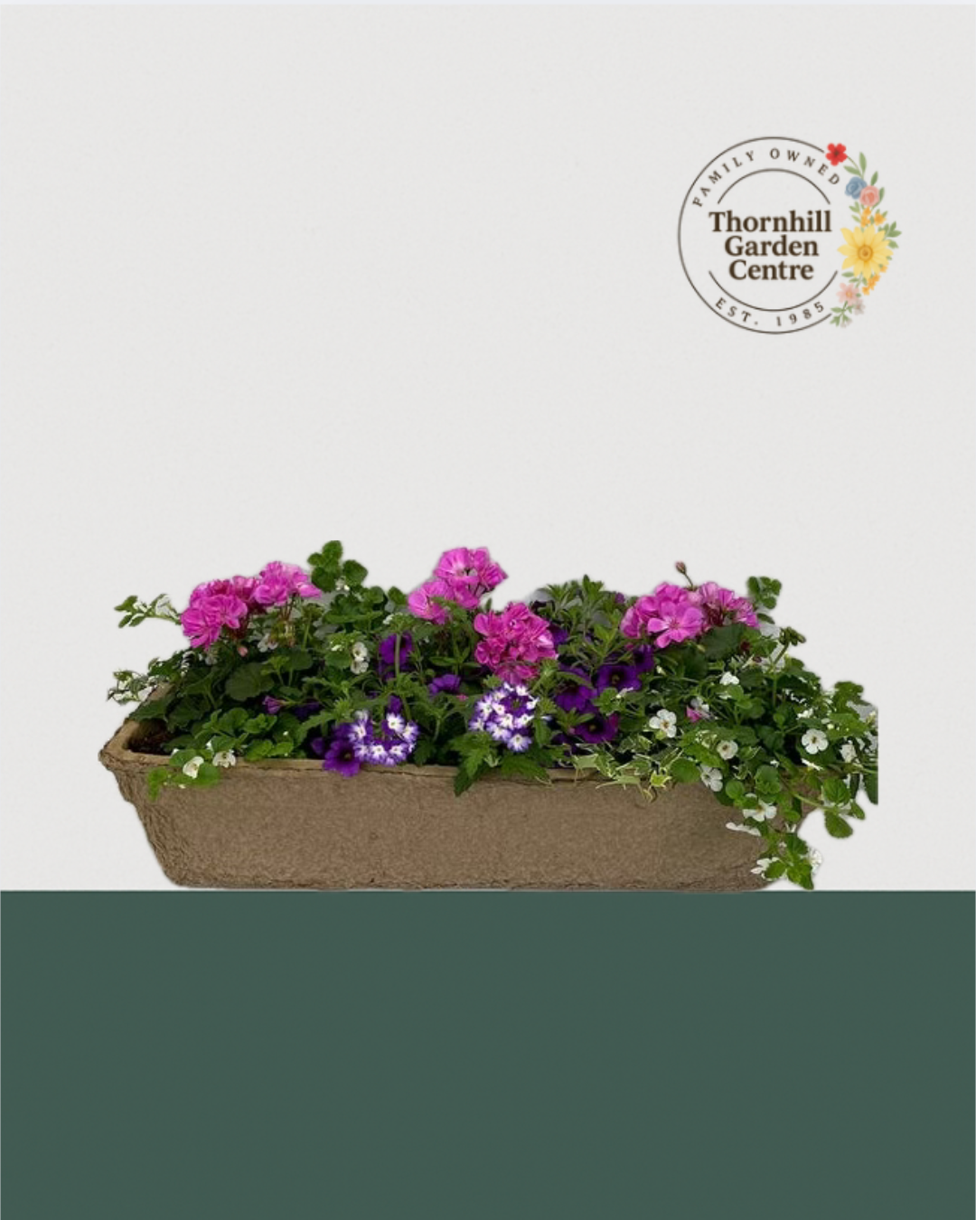 24" Premium Fibre Sun Mixed Window Box – Purple Breeze