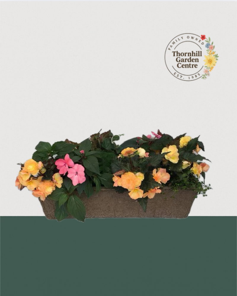 24" Premium Fibre Shade Mixed Window Box – Sunset Sorbet