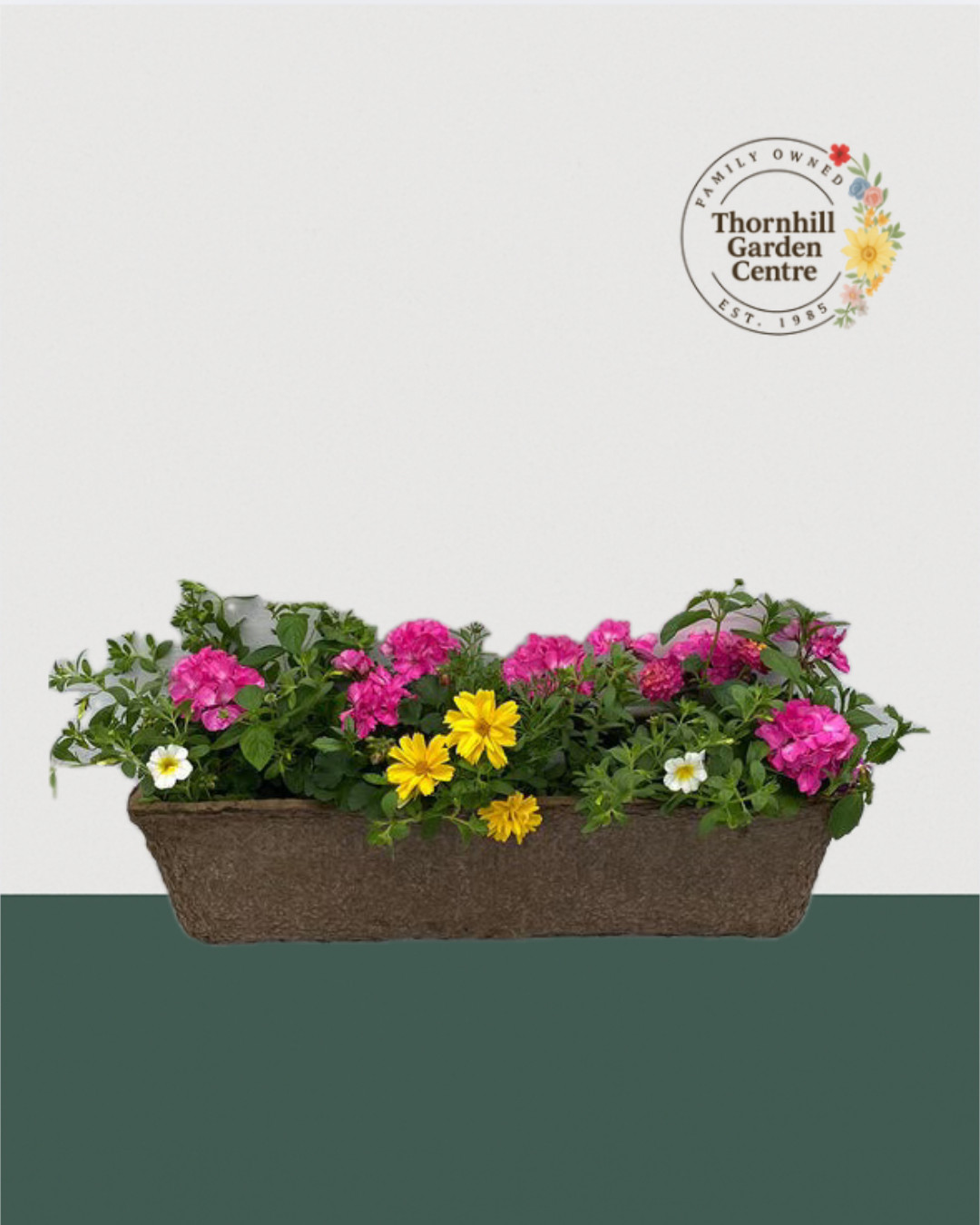 24" Fibre Premium Mixed Sun Window Box - Pink Lemonande Mix