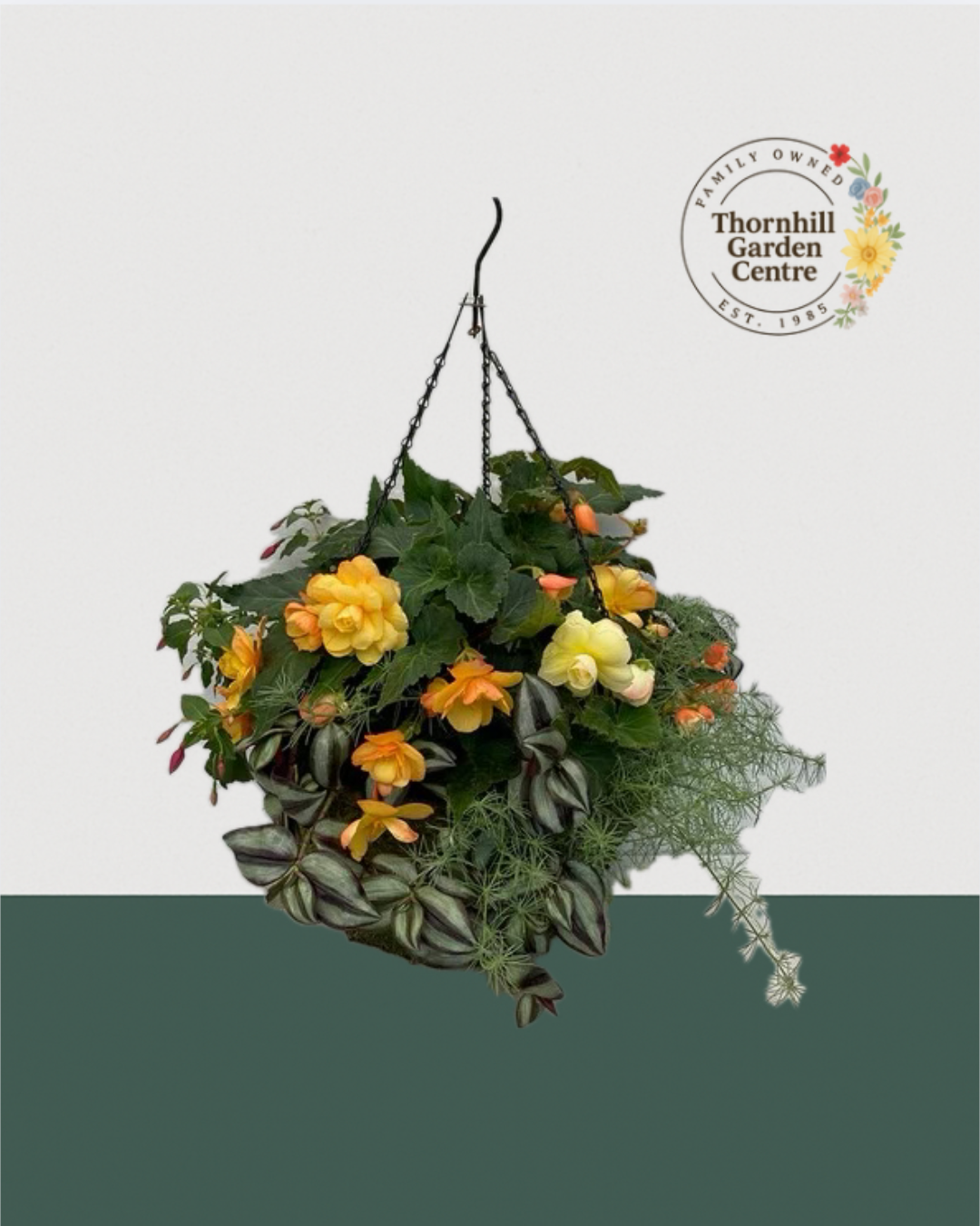 16" Moss Premium Mixed Shade Hanging Basket - Citrus Glow