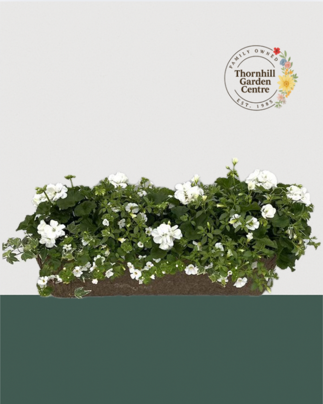 24" Fibre Premium Mixed Sun Window Box - White out Mix