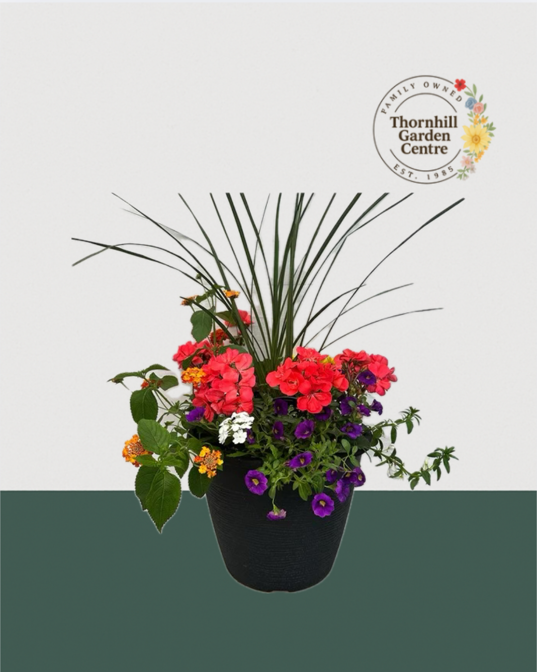 13" Round Premium Sun Mixed Planter – Coral Flame