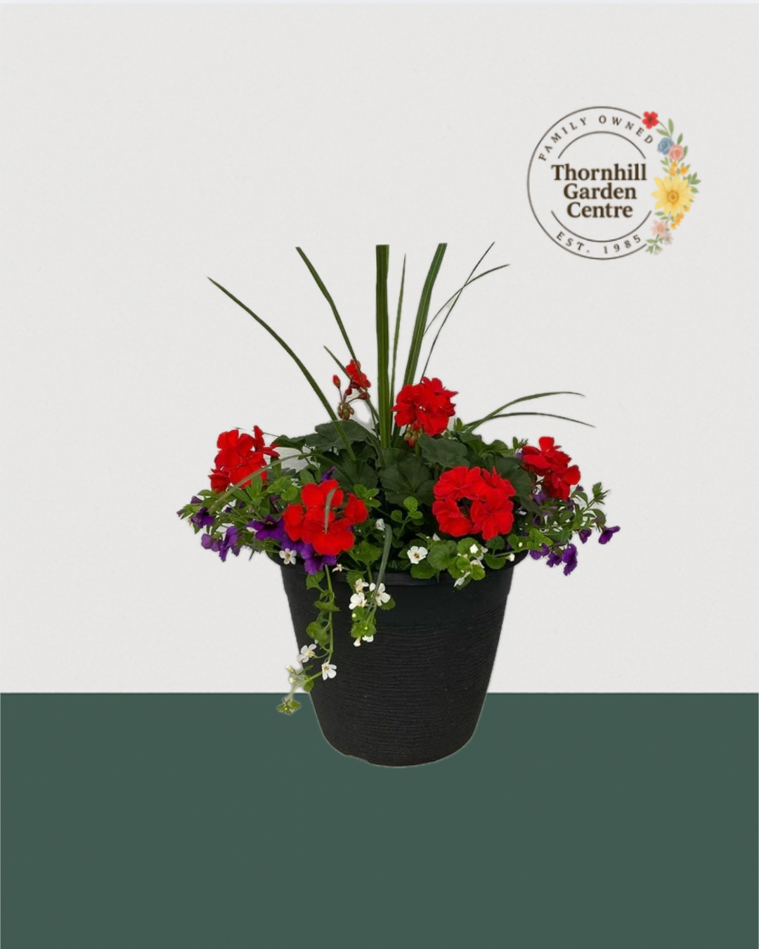 13" Round Premium Sun Mixed Planter – Classic Red Elegance