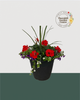 13" Round Premium Sun Mixed Planter – Classic Red Elegance