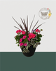 13" Round Premium Sun Mixed Planter – Hot Pink & Foliage Fusion