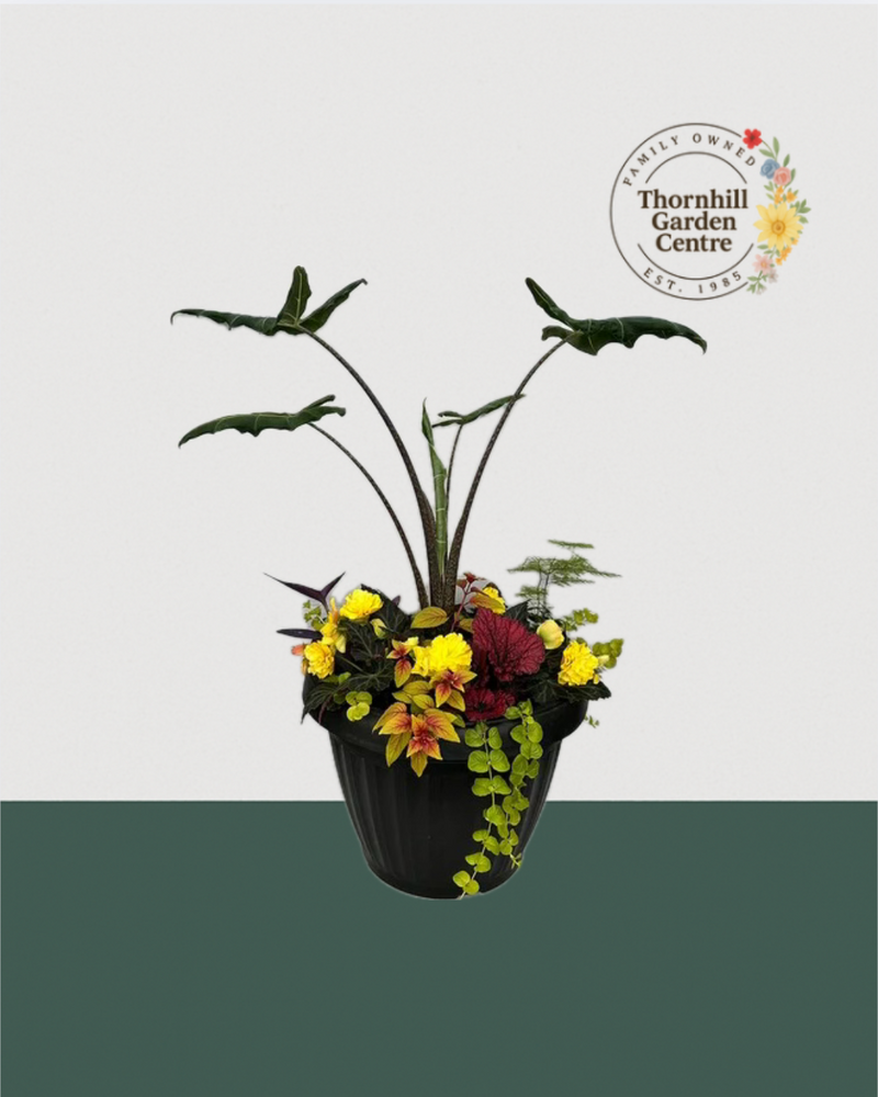 18" Mega Premium Mixed Shade Planter - Jungle Jewel