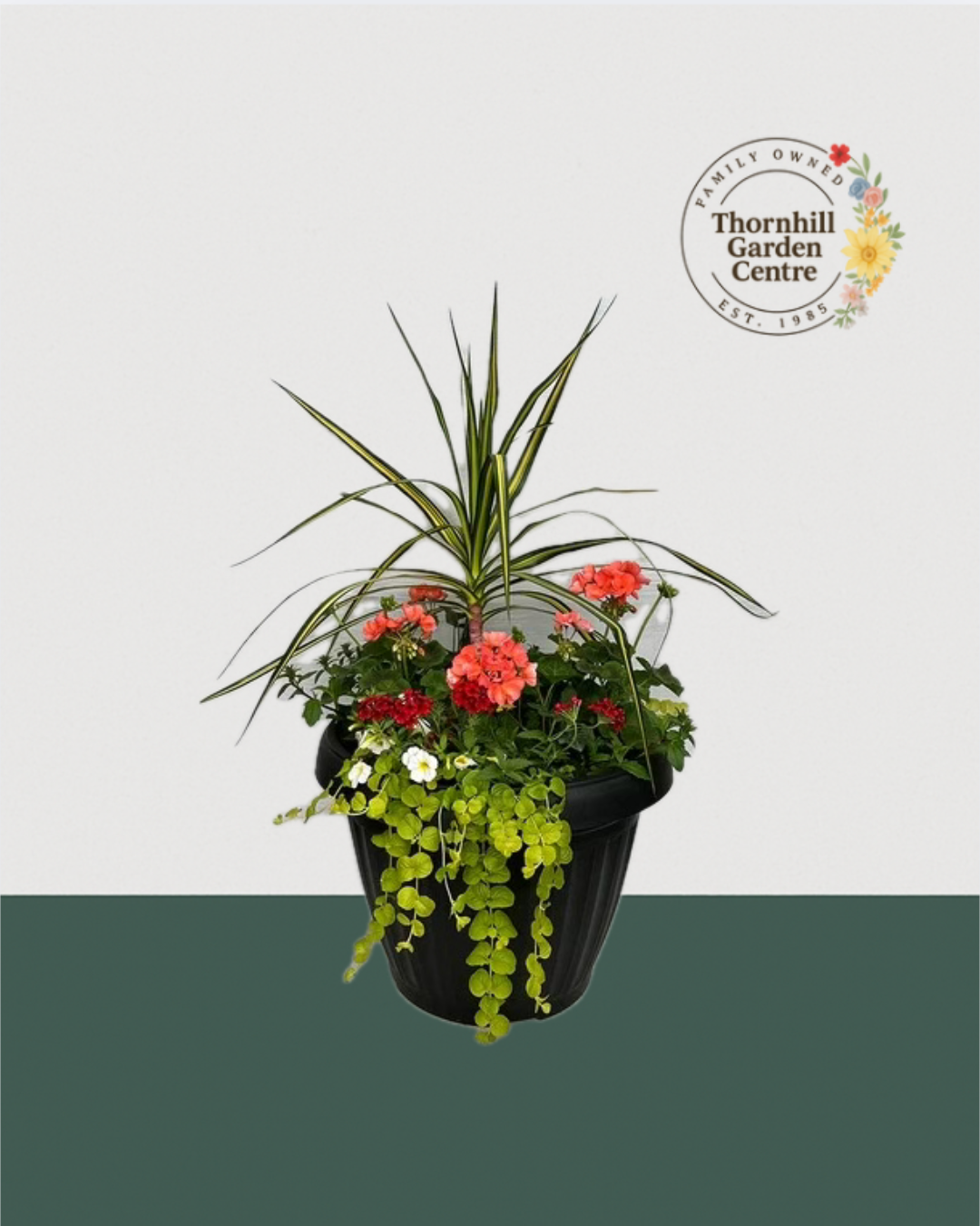 18" Mega Premium Mixed Sun Planter - Tropical Sunset