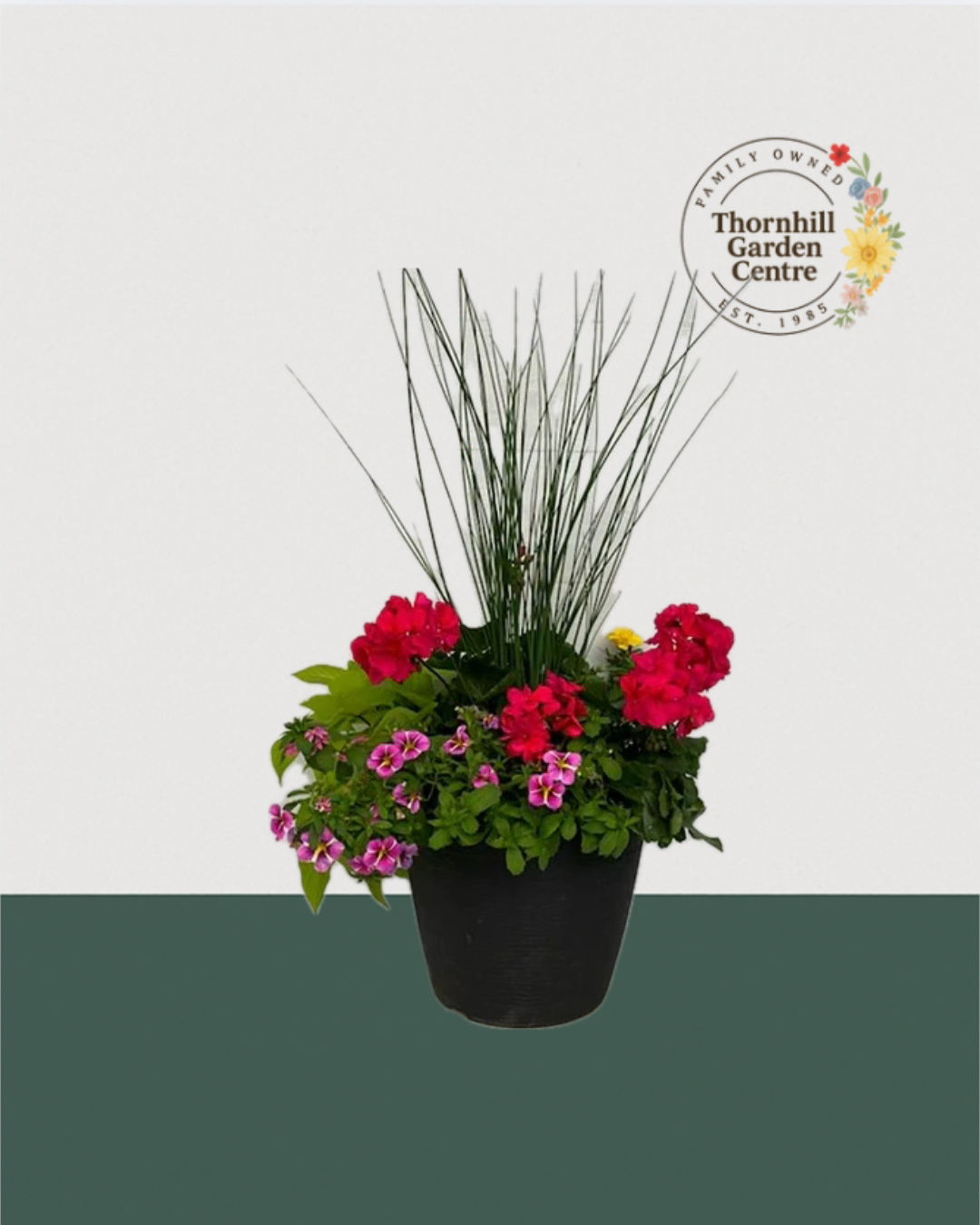 13" Round Premium Sun Mixed Planter – Cherry Crush