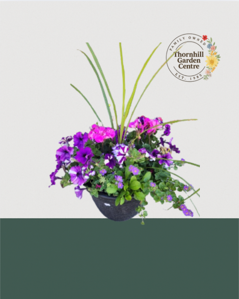 13" Round Premium Sun Mixed Planter – Violet Twist Mix